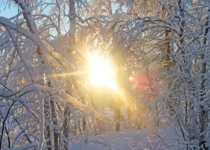 Juolukka By Interhome 度假居 *